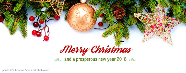 TIS GmbH wishes Merry Christmas 2015